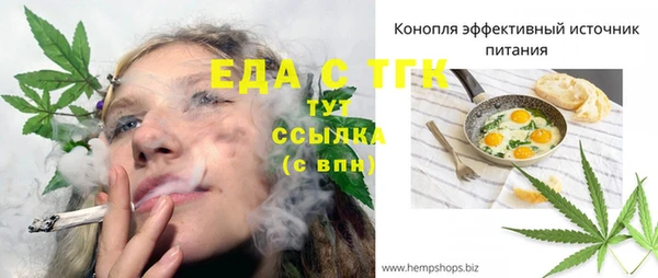 дмт Саки