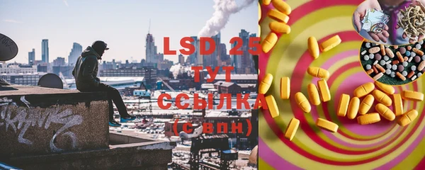 дживик Рыльск