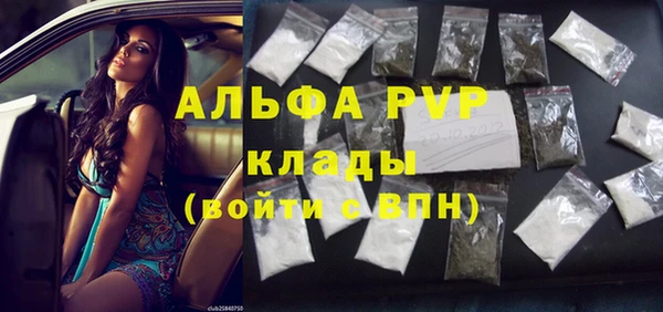 дмт Саки