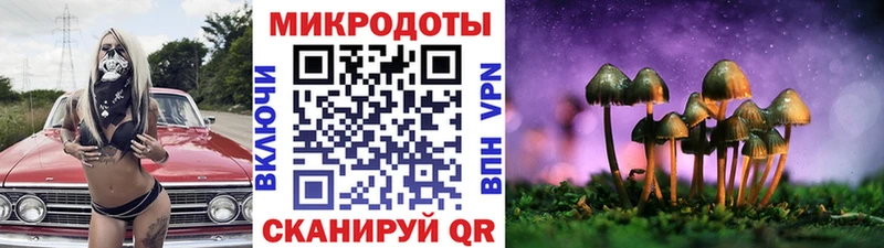 Галлюциногенные грибы GOLDEN TEACHER  Пыталово 